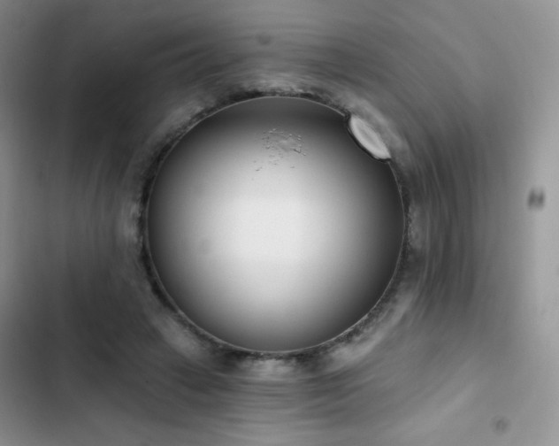 X0000102870449200808181509