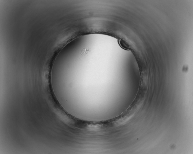 X0000102870450200808181509