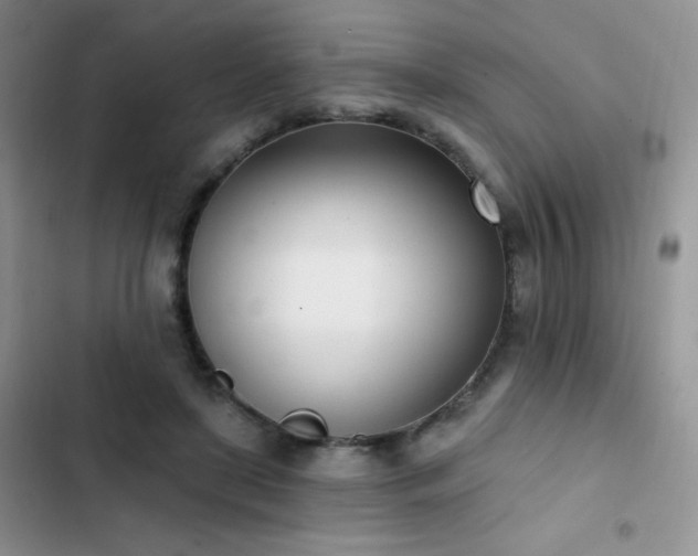 X0000102870451200808181509