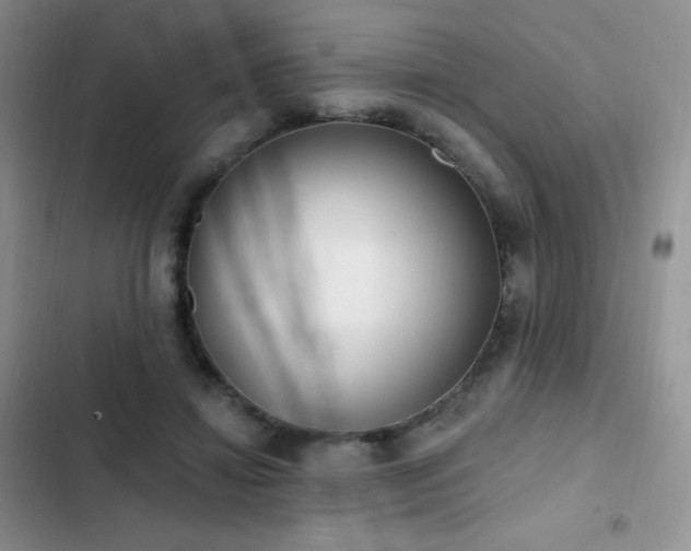 X0000102870452200808181509