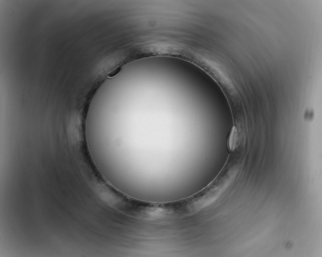 X0000102870453200808181509