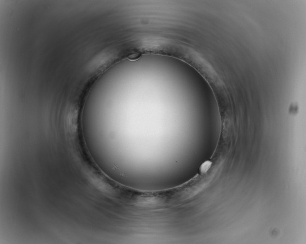 X0000102870454200808181509
