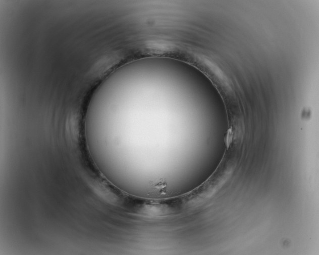 X0000102870455200808181510