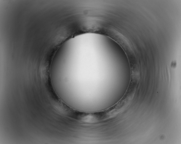 X0000102870460200808181510