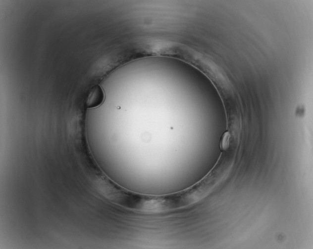 X0000102870461200808181510