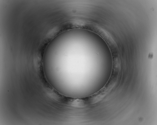 X0000102870463200808181510