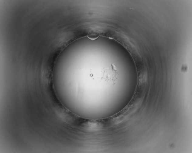 X0000102870464200808181510