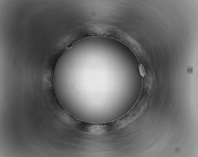 X0000102870465200808181510