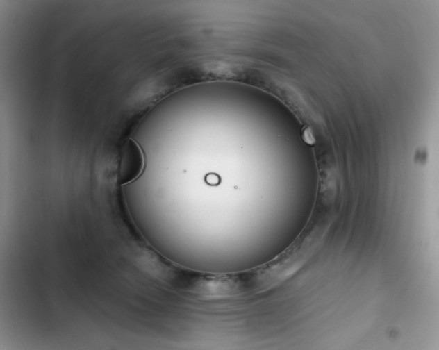X0000102870466200808181510