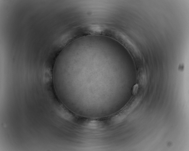 X0000102870467200808181510