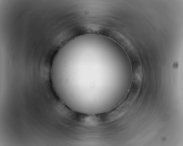 X0000102870468200808181510