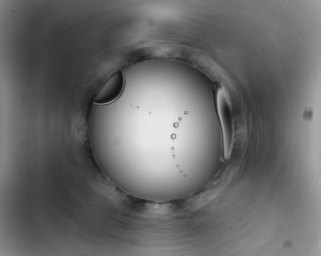 X0000102870469200808181510