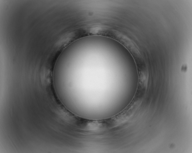 X0000102870470200808181510