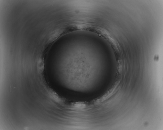 X0000102870471200808181510
