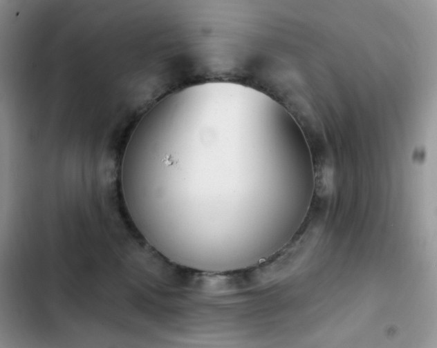 X0000102870472200808181510