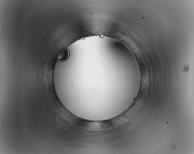 X0000102870473200808181510