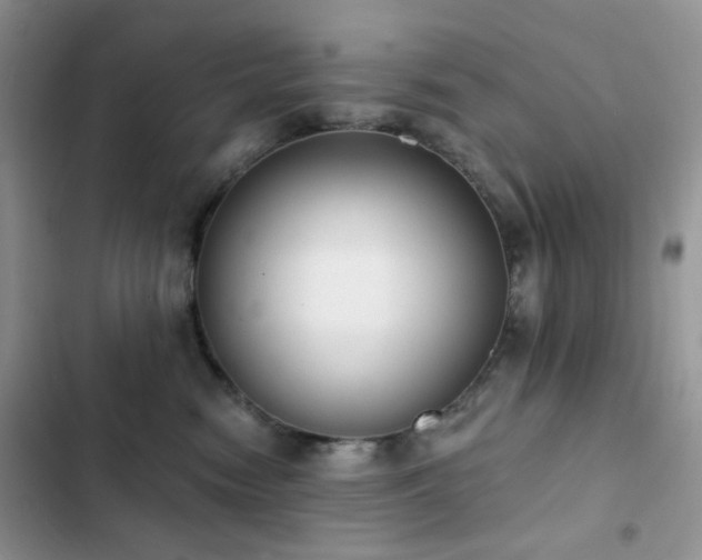 X0000102870474200808181510