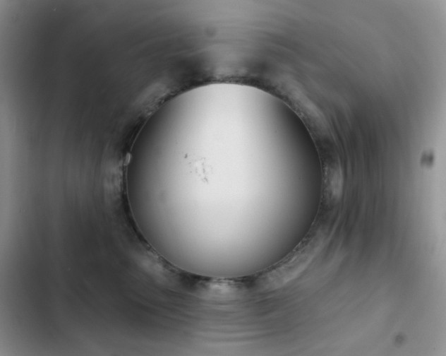 X0000102870475200808181510