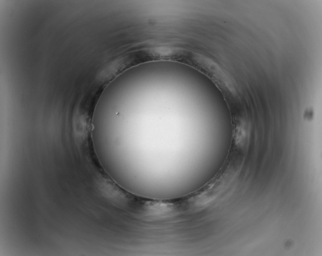 X0000102870476200808181510