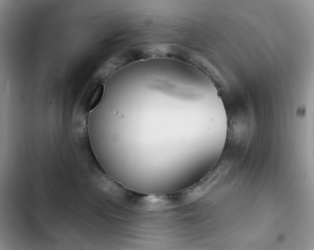 X0000102870477200808181510