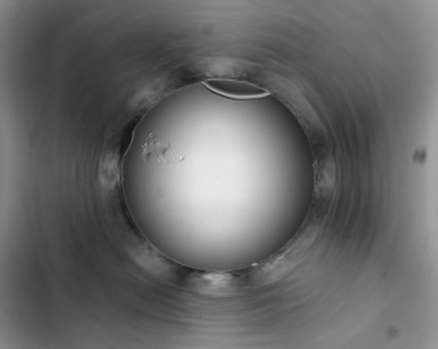 X0000102870478200808181510