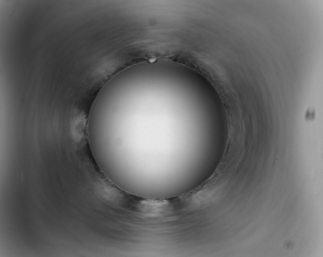 X0000102870480200808181510
