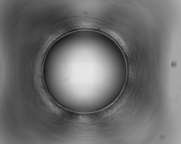 X0000102870481200808181509