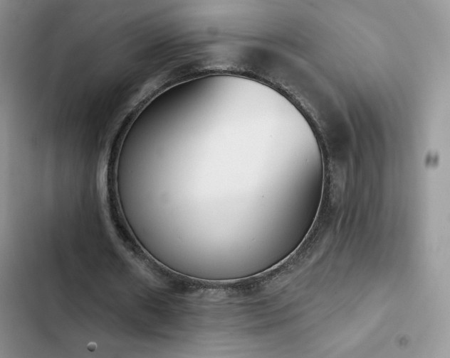 X0000102870482200808181509
