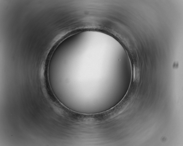 X0000102870483200808181509