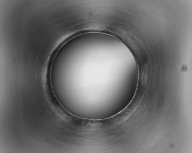X0000102870484200808181509