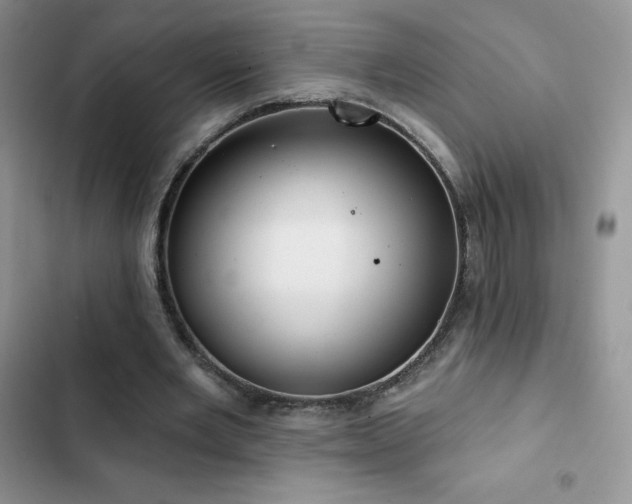 X0000102870485200808181509