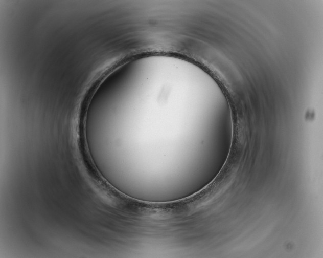 X0000102870486200808181509