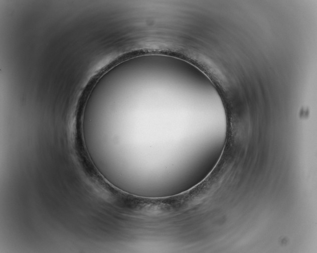 X0000102870488200808181509