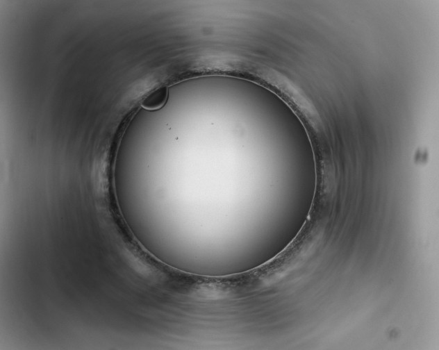 X0000102870489200808181509