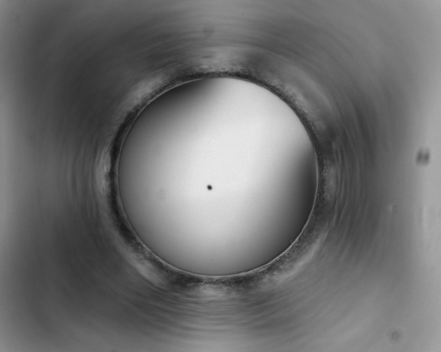 X0000102870490200808181509