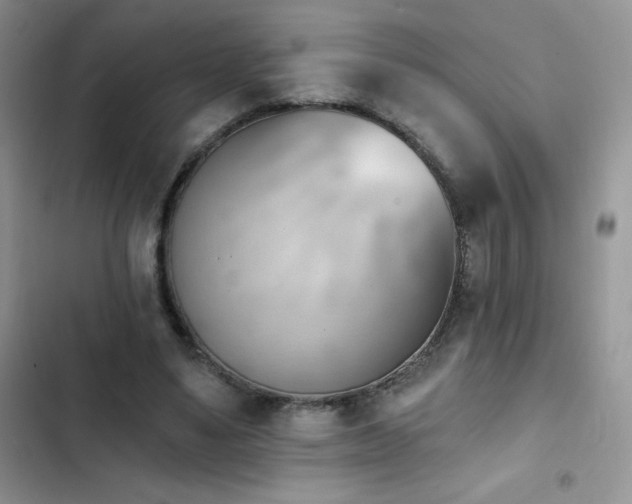 X0000102870491200808181509