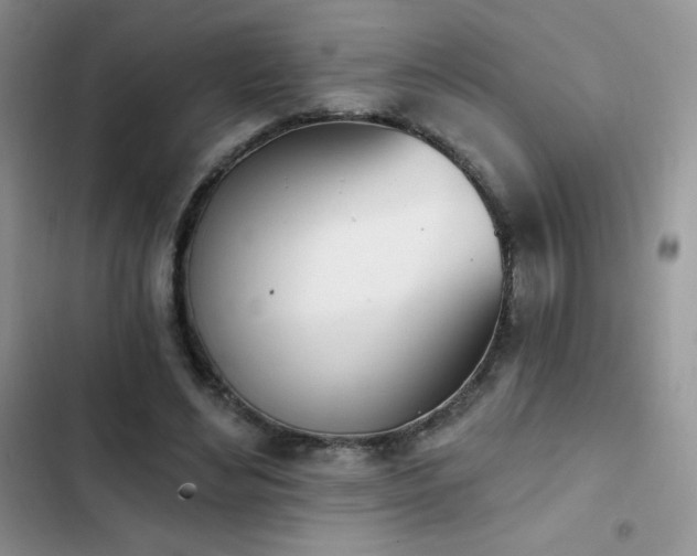 X0000102870492200808181509