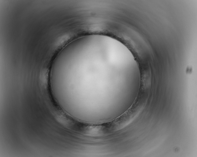 X0000102870495200808181509