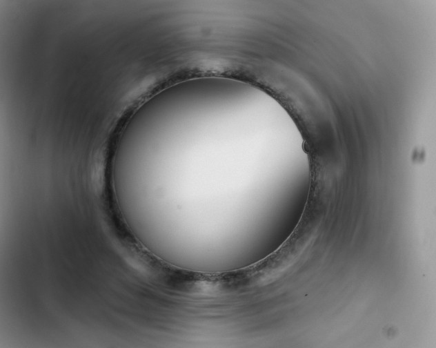 X0000102870496200808181509