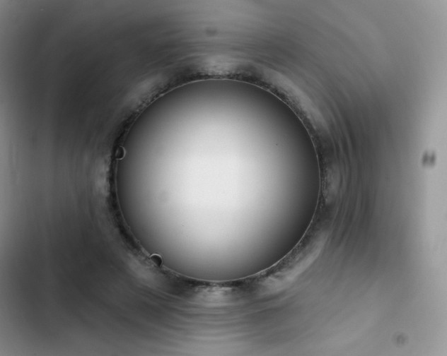 X0000102870497200808181509