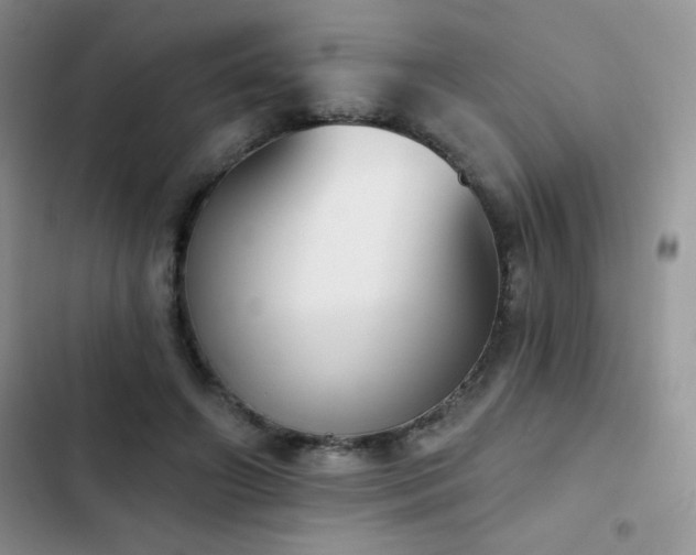 X0000102870498200808181509