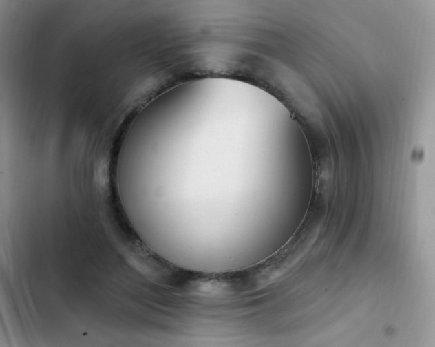 X0000102870500200808181509
