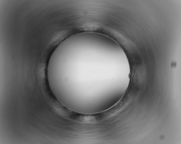 X0000102870501200808181509