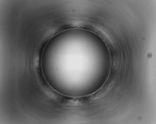 X0000102870502200808181509