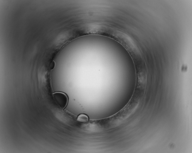 X0000102870503200808181509