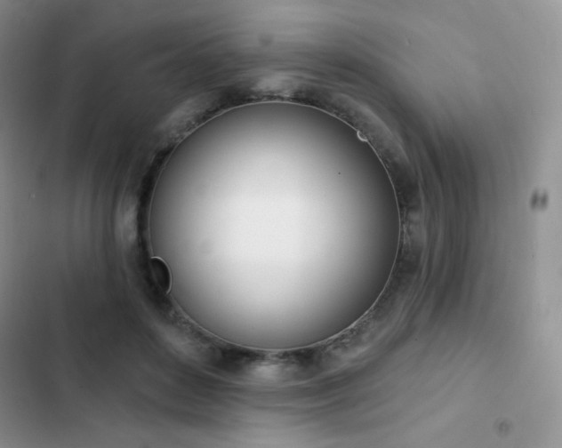X0000102870504200808181509