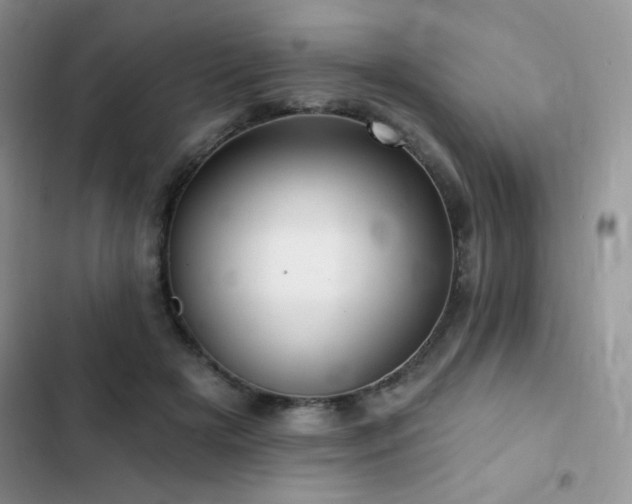 X0000102870505200808181509