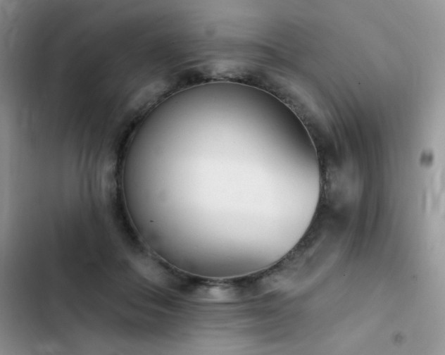 X0000102870506200808181509