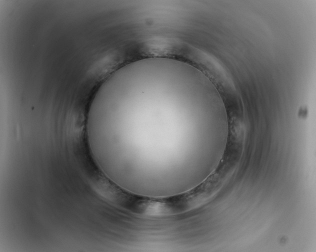 X0000102870507200808181509