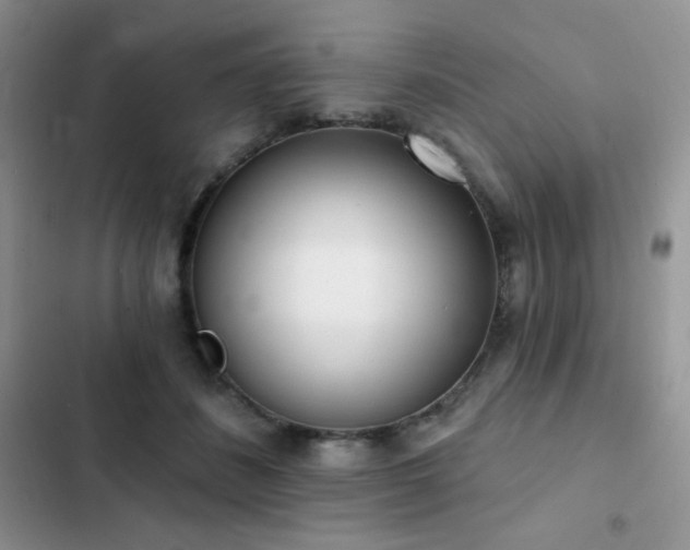 X0000102870508200808181509